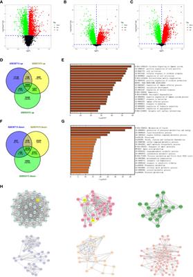 Identification of cuproptosis hub genes contributing to the immune microenvironment in ulcerative colitis using bioinformatic analysis and experimental verification